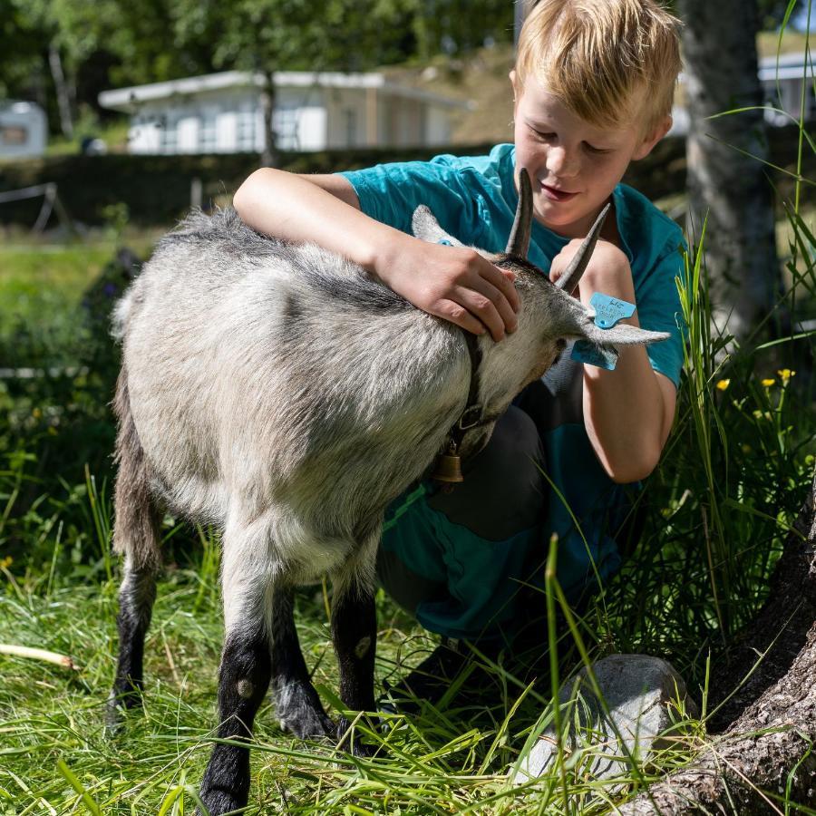 Groven Camping & Hyttegrend Amot  Esterno foto