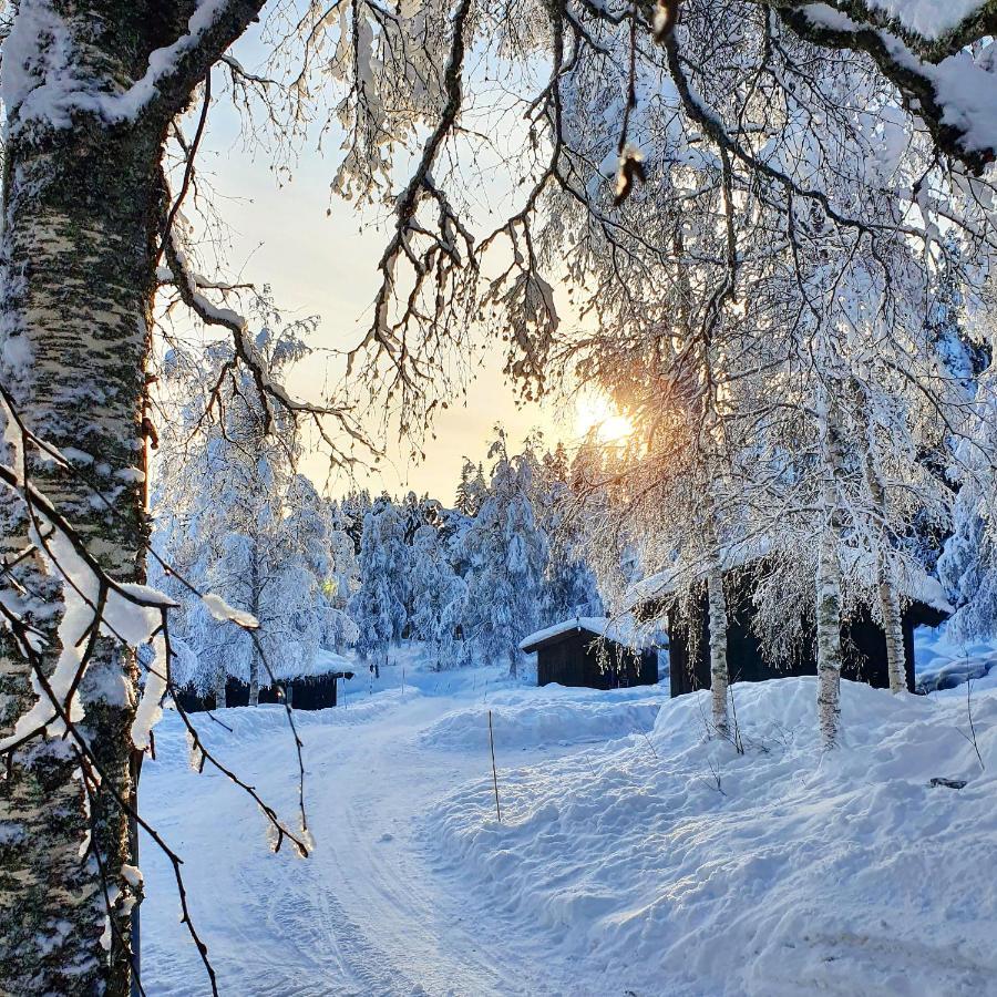Groven Camping & Hyttegrend Amot  Esterno foto